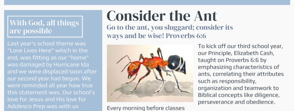 Consider the ant
